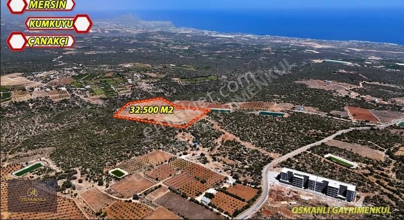 Kumkuyu Çanakcıda Satılık 32,500m2 İmar Sınırında Tarla