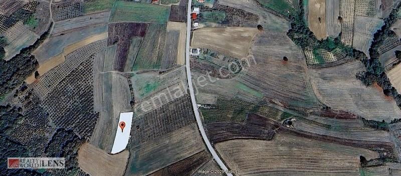 Kocaeli Kandıra Yusufça Yatırım Fırsatı Tarla