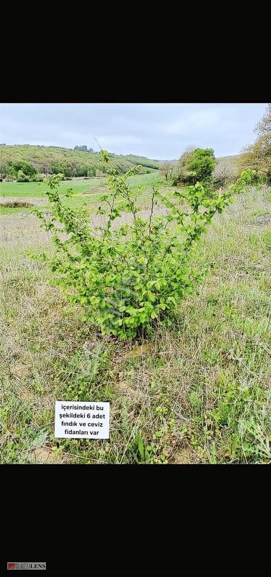 Kocaeli Kandıra Çakırcaali Yatırım Fırsatı Tarla - Görsel 6