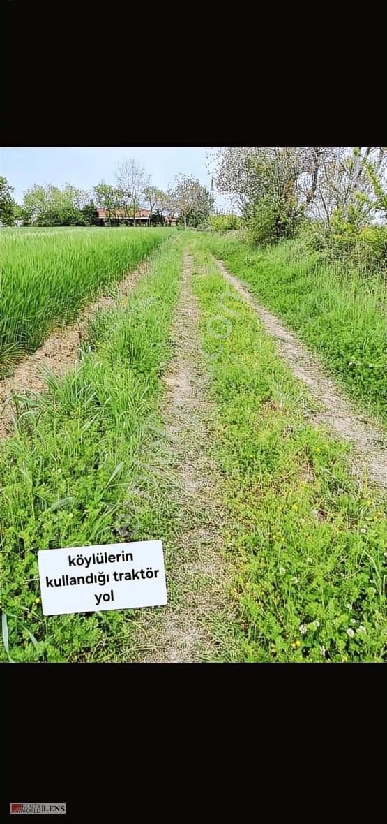 Kocaeli Kandıra Çakırcaali Yatırım Fırsatı Tarla - Görsel 2