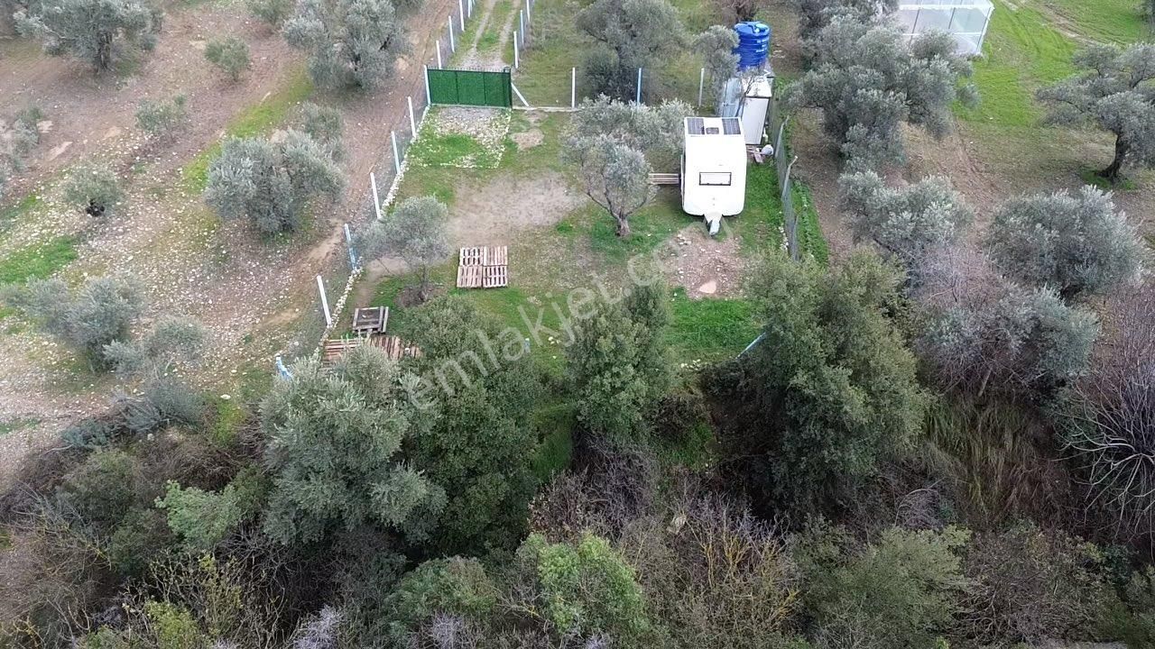 Örnekköy’de Yerleşime Yakın, Yola Cepheli Hobi Bahçesi - Görsel 16