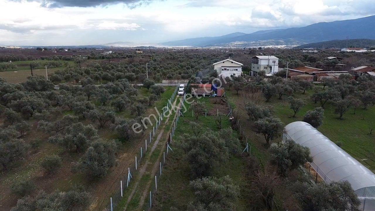 Örnekköy’de Yerleşime Yakın, Yola Cepheli Hobi Bahçesi - Görsel 15