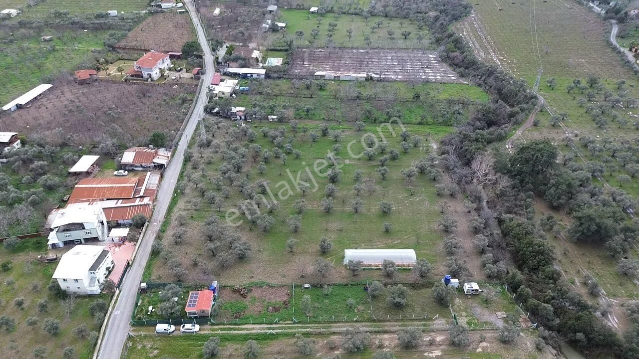 Örnekköy’de Yerleşime Yakın, Yola Cepheli Hobi Bahçesi - Görsel 8