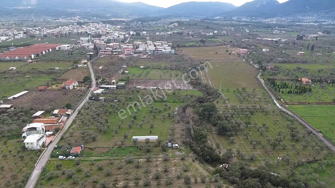 Örnekköy’de Yerleşime Yakın, Yola Cepheli Hobi Bahçesi - Görsel 11