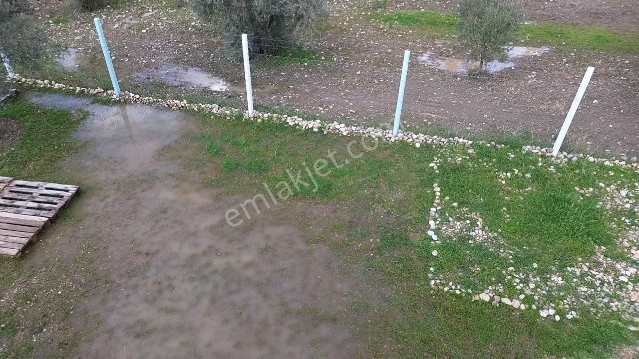 Örnekköy’de Yerleşime Yakın, Yola Cepheli Hobi Bahçesi - Görsel 5