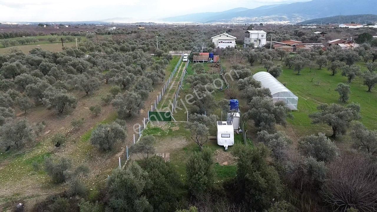 Örnekköy’de Yerleşime Yakın, Yola Cepheli Hobi Bahçesi - Görsel 17