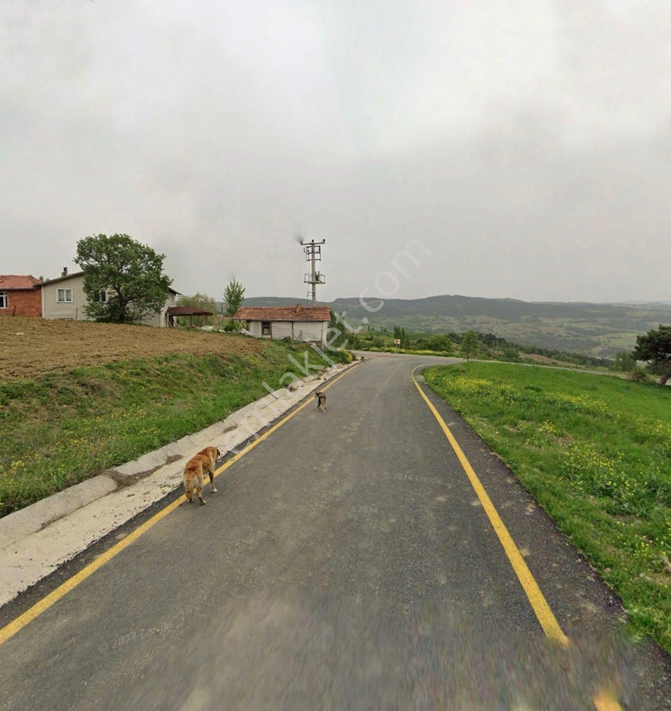 Sakarya Geyve Sabırlar Mahallesi – Asfalt Cepheli 3.704 M² Satılık Arsa - Görsel 2