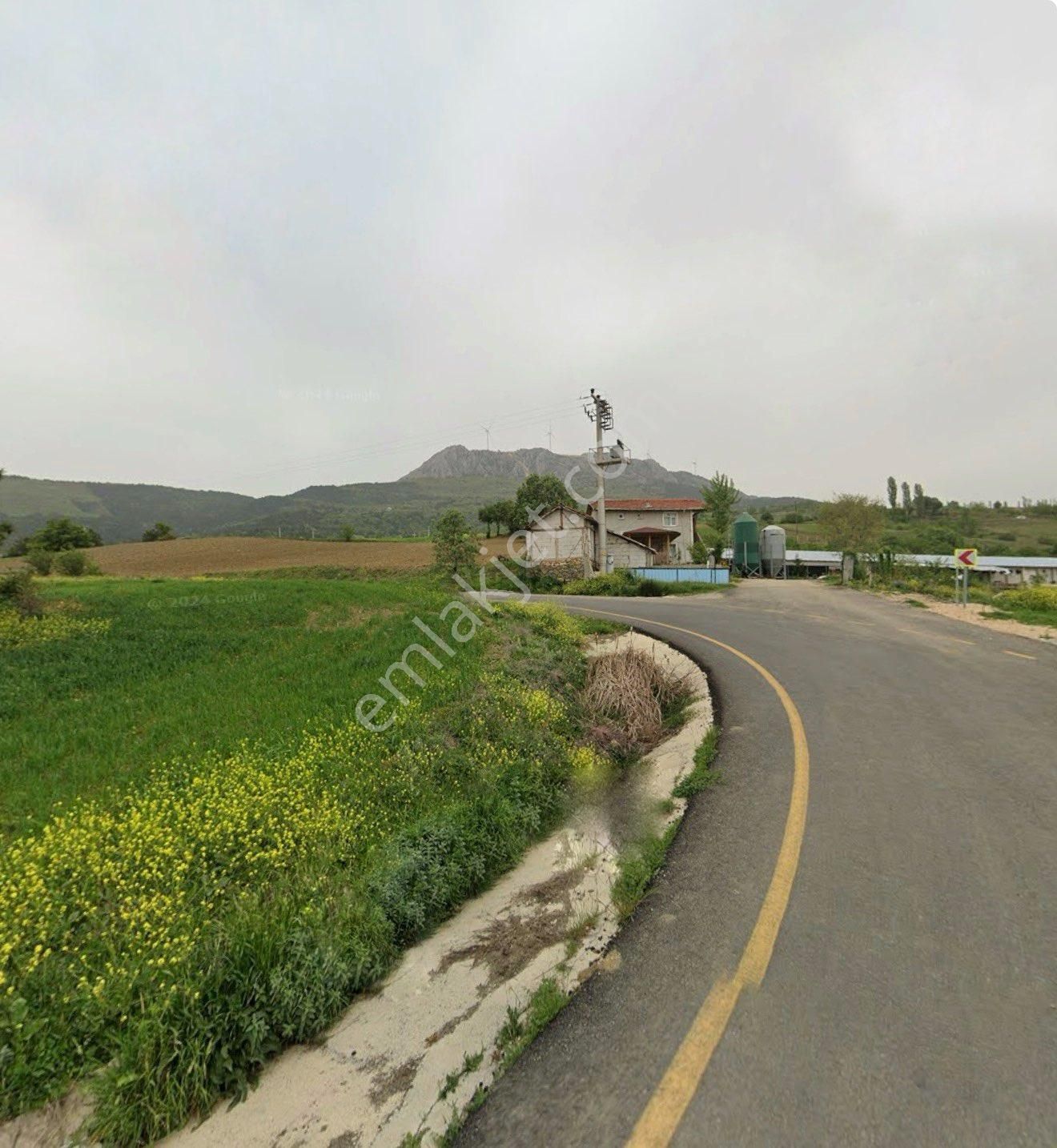 Sakarya Geyve Sabırlar Mahallesi – Asfalt Cepheli 3.704 M² Satılık Arsa