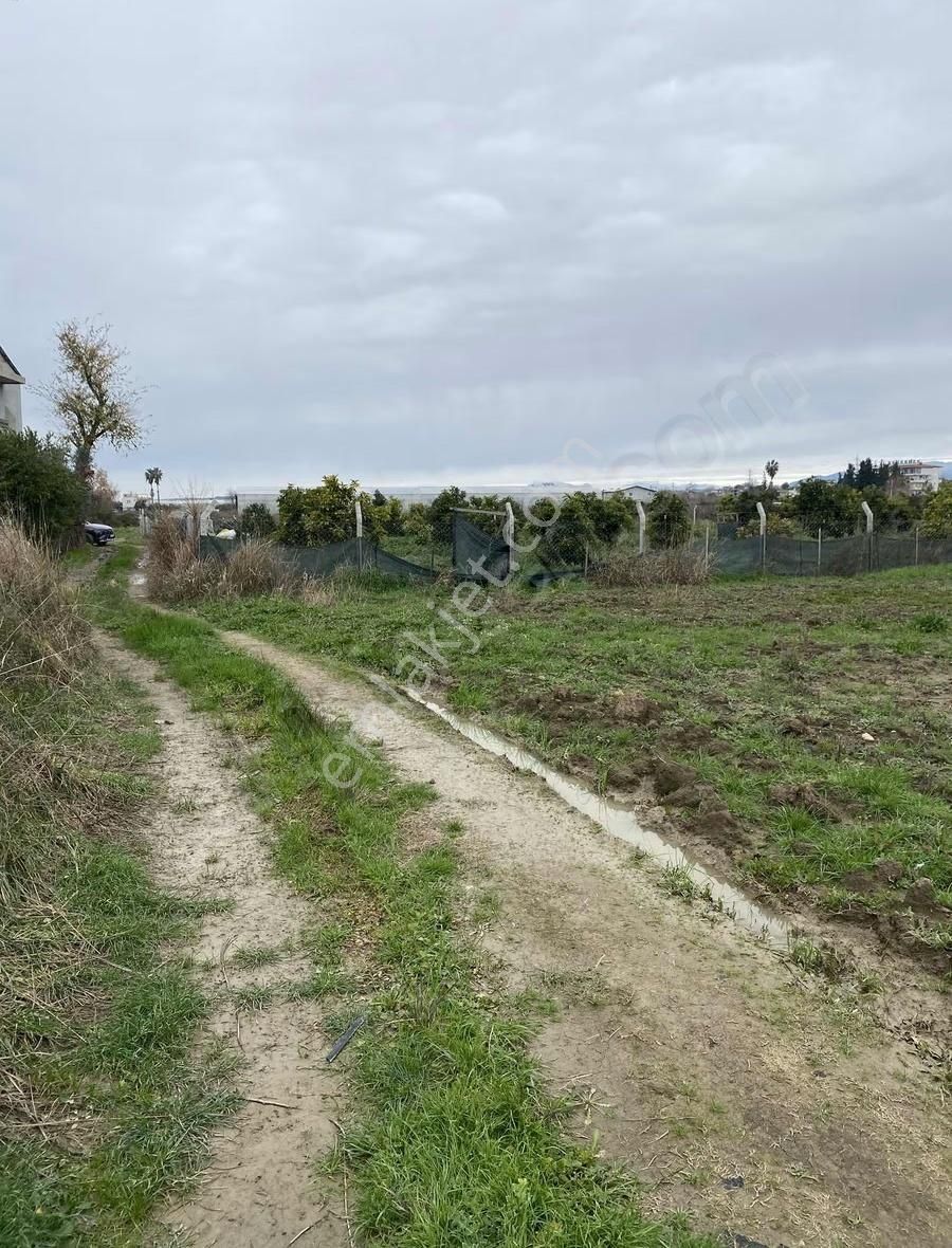 Demirciler Mahallesi'nde 605 Metrekare Hisseli Tarla Satılıktır - Görsel 3