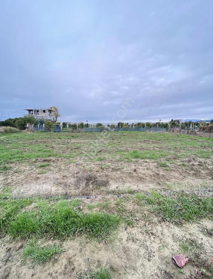 Demirciler Mahallesi'nde 605 Metrekare Hisseli Tarla Satılıktır
