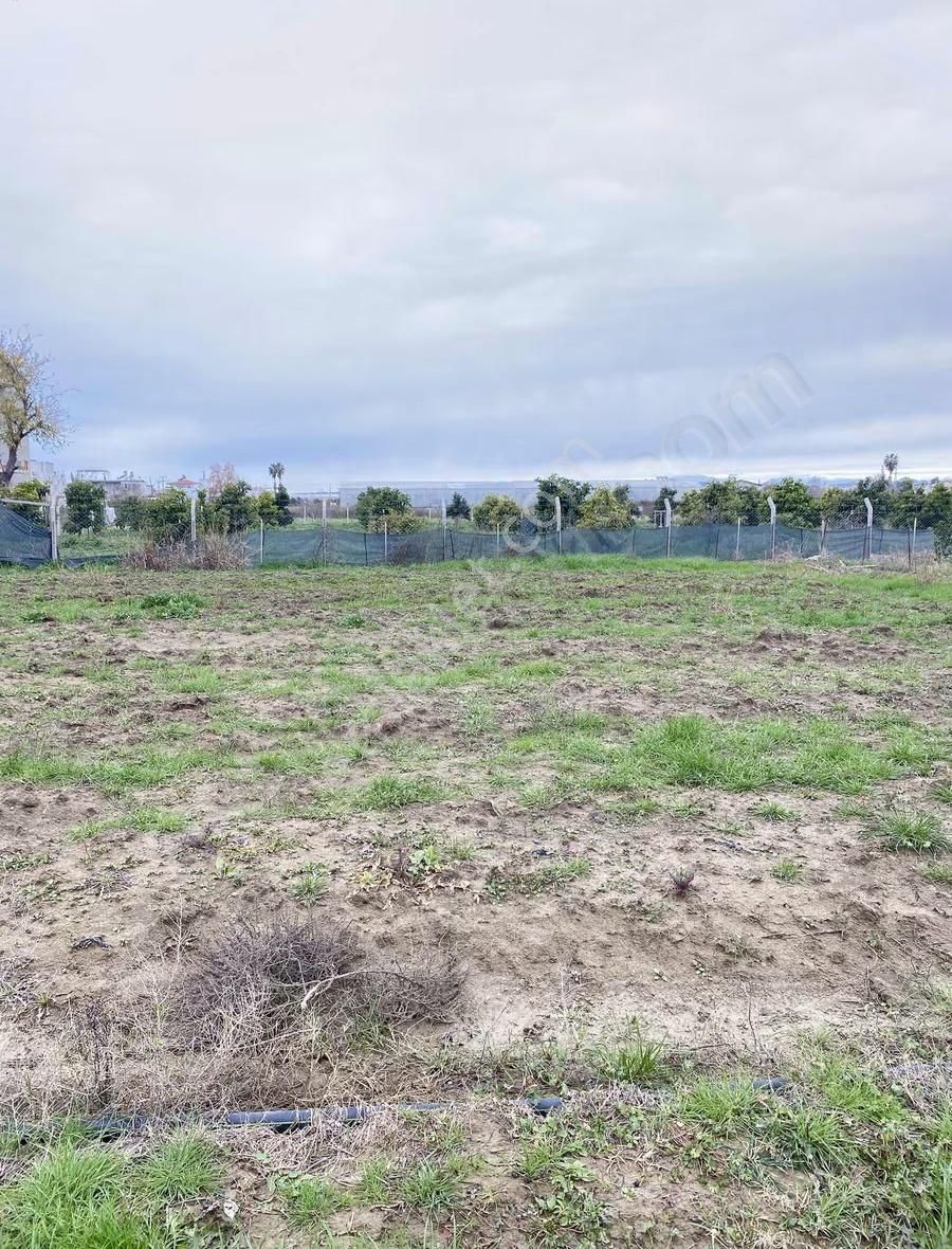 Demirciler Mahallesi'nde 605 Metrekare Hisseli Tarla Satılıktır - Görsel 4