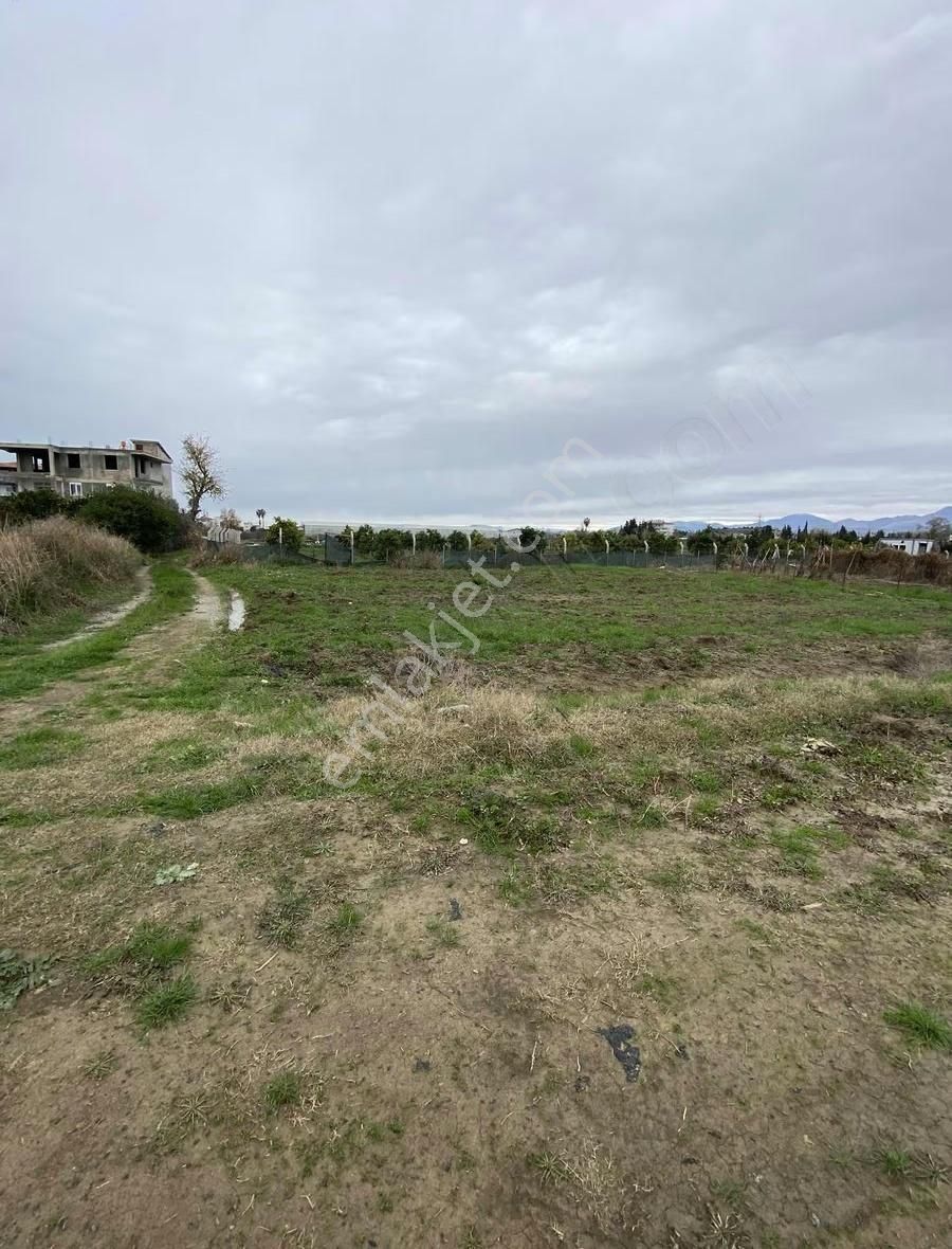 Demirciler Mahallesi'nde 605 Metrekare Hisseli Tarla Satılıktır - Görsel 7
