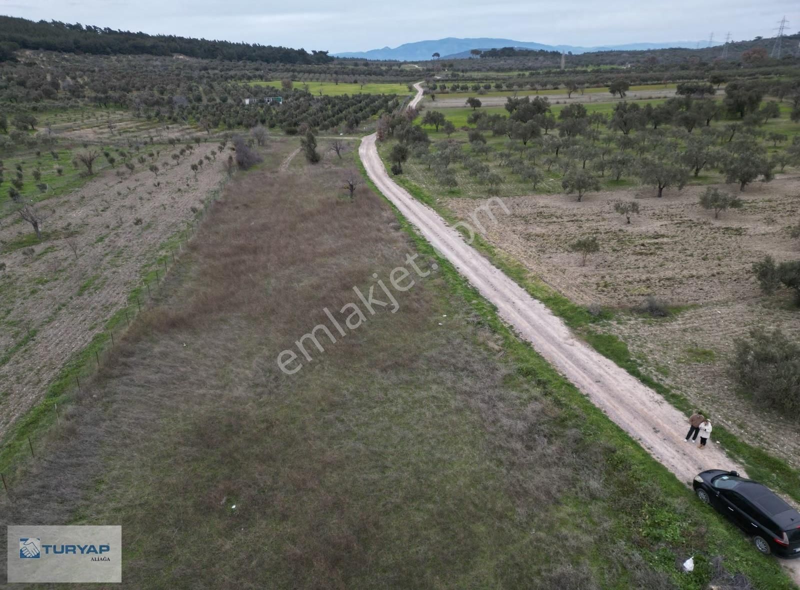 Bergama Örlemişte Satılık Tarla - Görsel 3