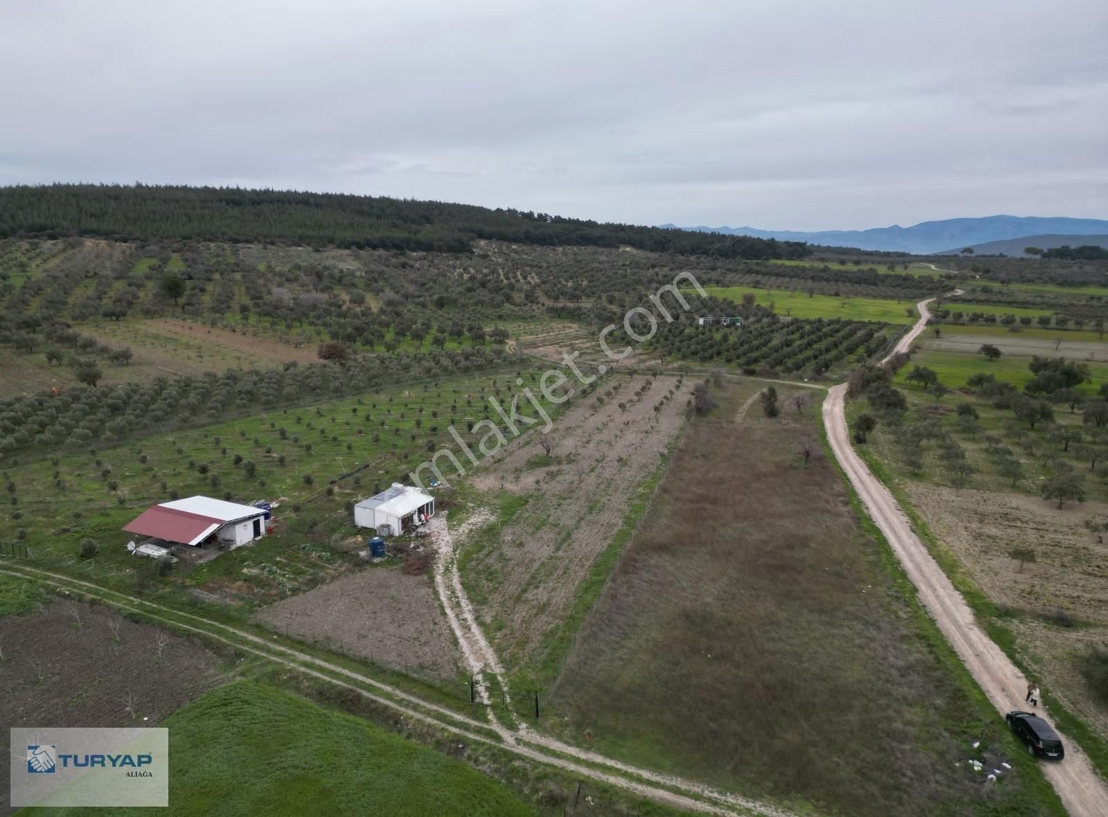 Bergama Örlemişte Satılık Tarla - Görsel 5