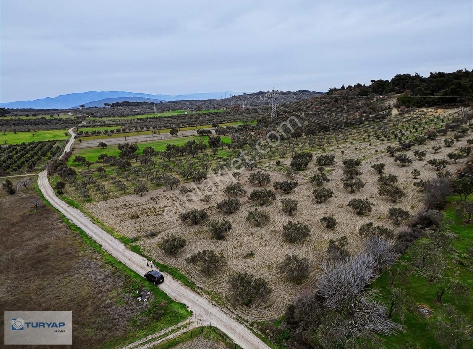 Bergama Örlemişte Satılık Tarla - Görsel 4