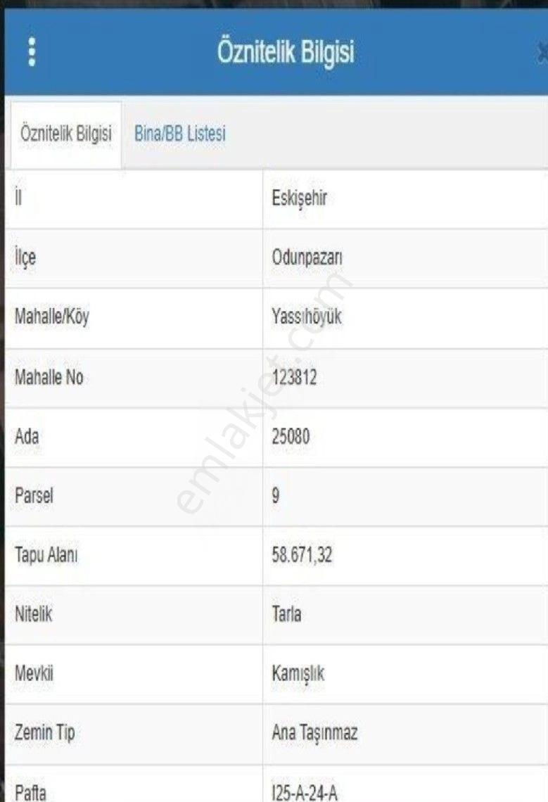 Eskişehir Odunpazarında Son Derece Değerli Mevkii ' De Yatırımcıya Uygun Tarla Hissesi - Görsel 5