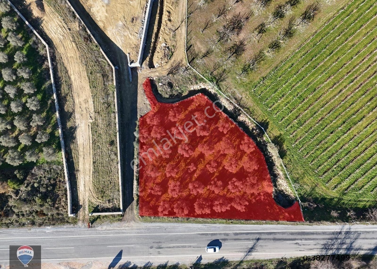 Kuşadası Yeniköy'de Yola Cepheli Satılık 1.275 M² Tarla - Görsel 6