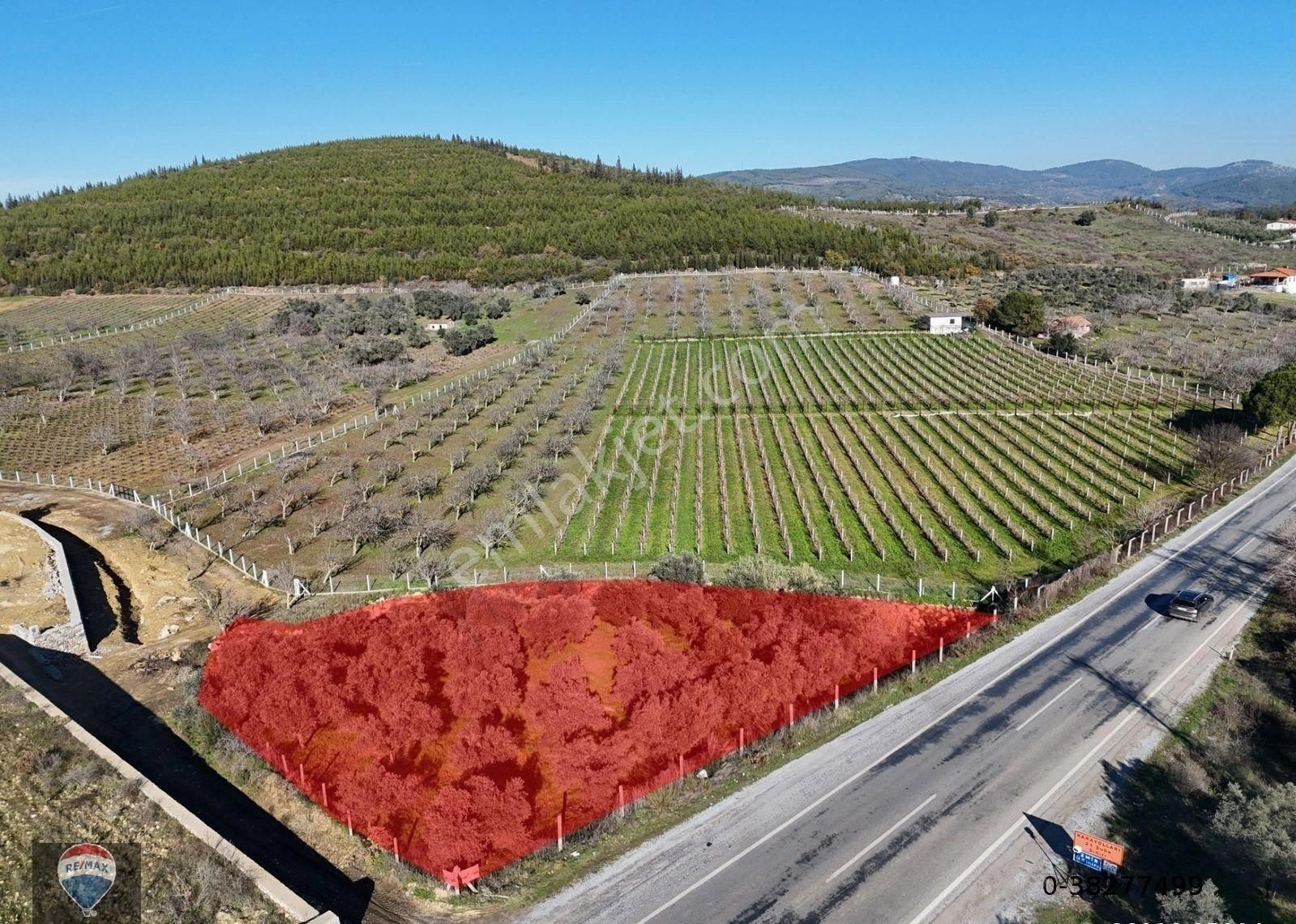 Kuşadası Yeniköy'de Yola Cepheli Satılık 1.275 M² Tarla - Görsel 5