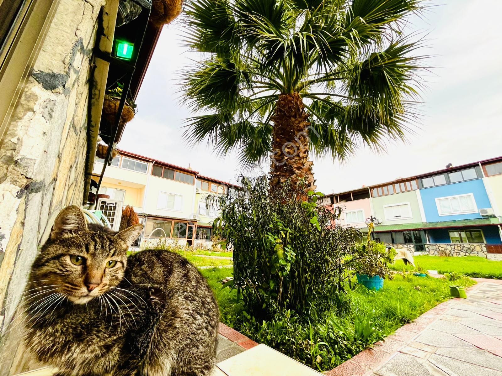 Yükselden Güre'de Denize 100mt Full Deniz Manzaralı Şahane Villa - Görsel 3