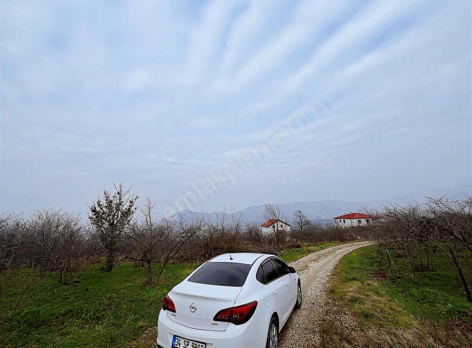 Kuzulukta Mükemmel Manzaralı...