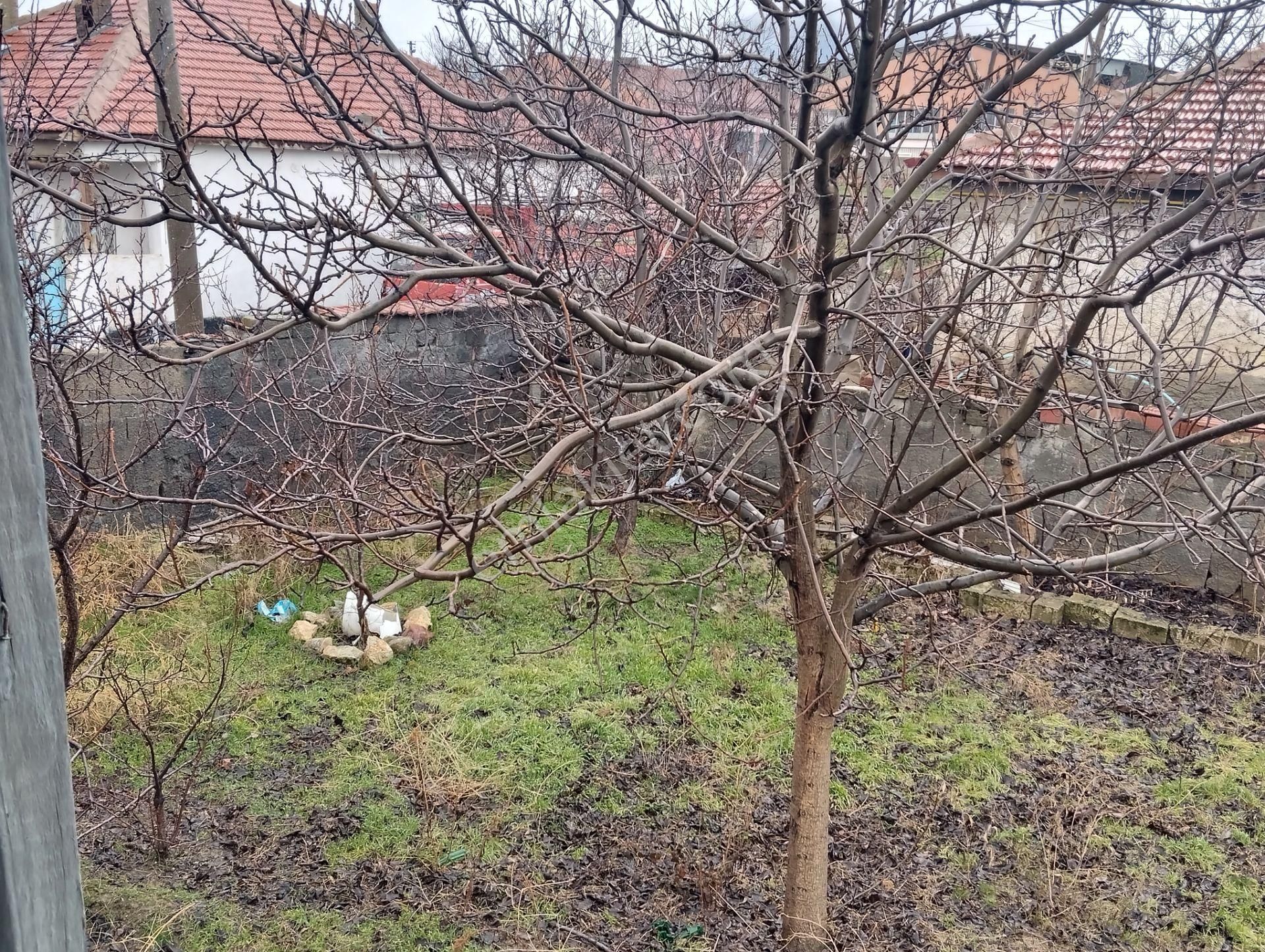 Akşehir Demirhan Emlaktan Satılık Müstakil Ev - Görsel 8