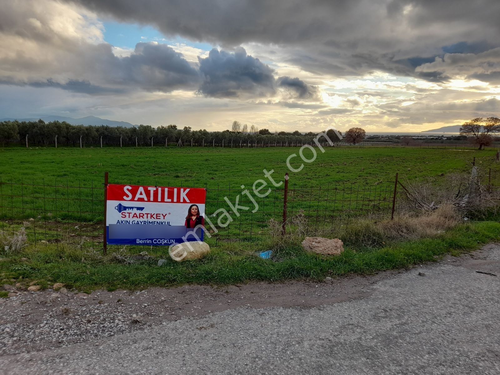 Dikili Salihler Mahallesinde 5 Dönüm Satılık Tarla - Görsel 2