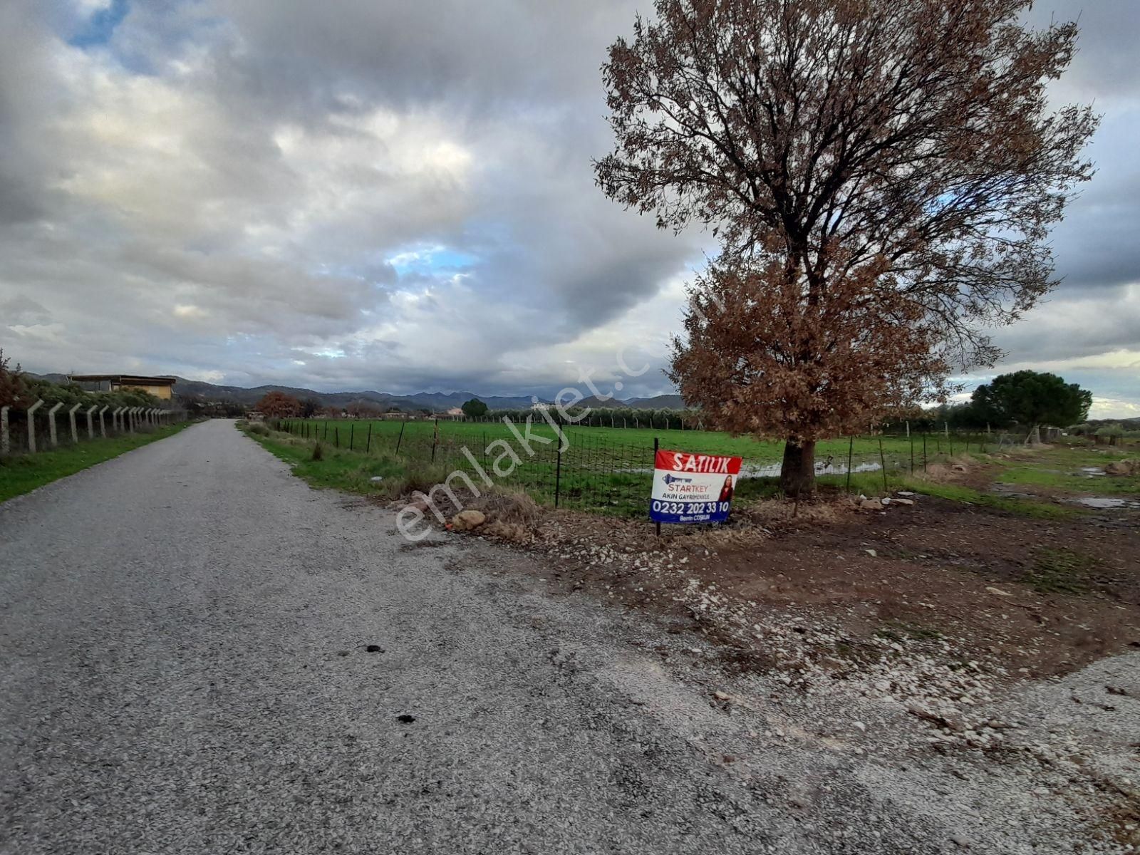 Dikili Salihler Mahallesinde 5 Dönüm Satılık Tarla - Görsel 12