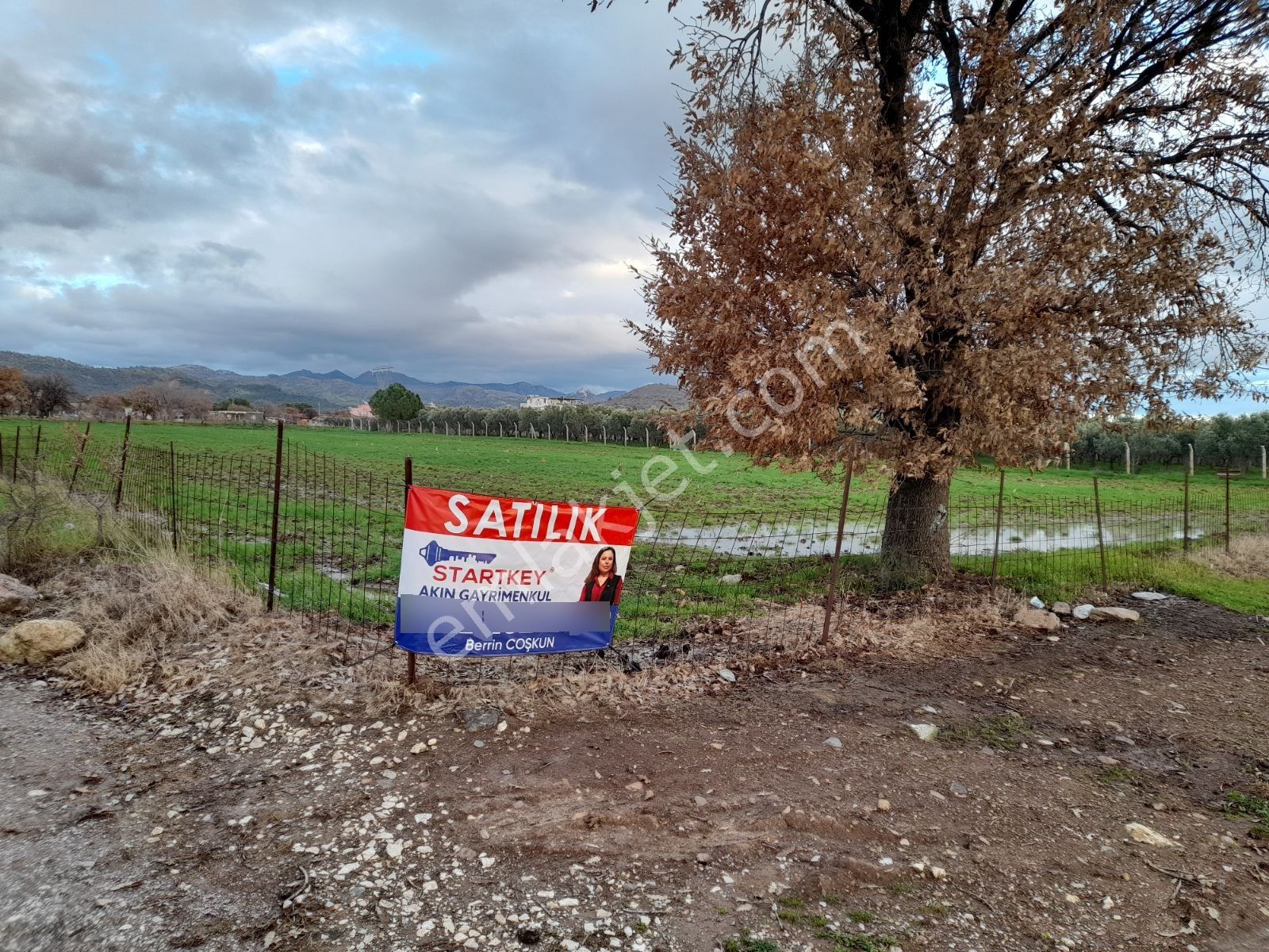 Dikili Salihler Mahallesinde 5 Dönüm Satılık Tarla - Görsel 5