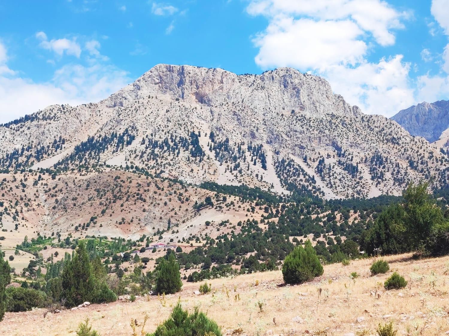 Kar Emlaktan Aşçıbekirli Fenese Mevkiinde 450 M2 Satılık Arsa - Görsel 13