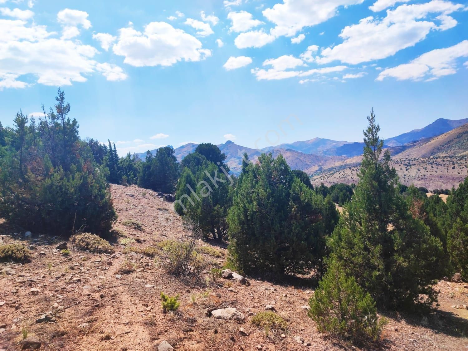 Kar Emlaktan Aşçıbekirli Fenese Mevkiinde 450 M2 Satılık Arsa - Görsel 2