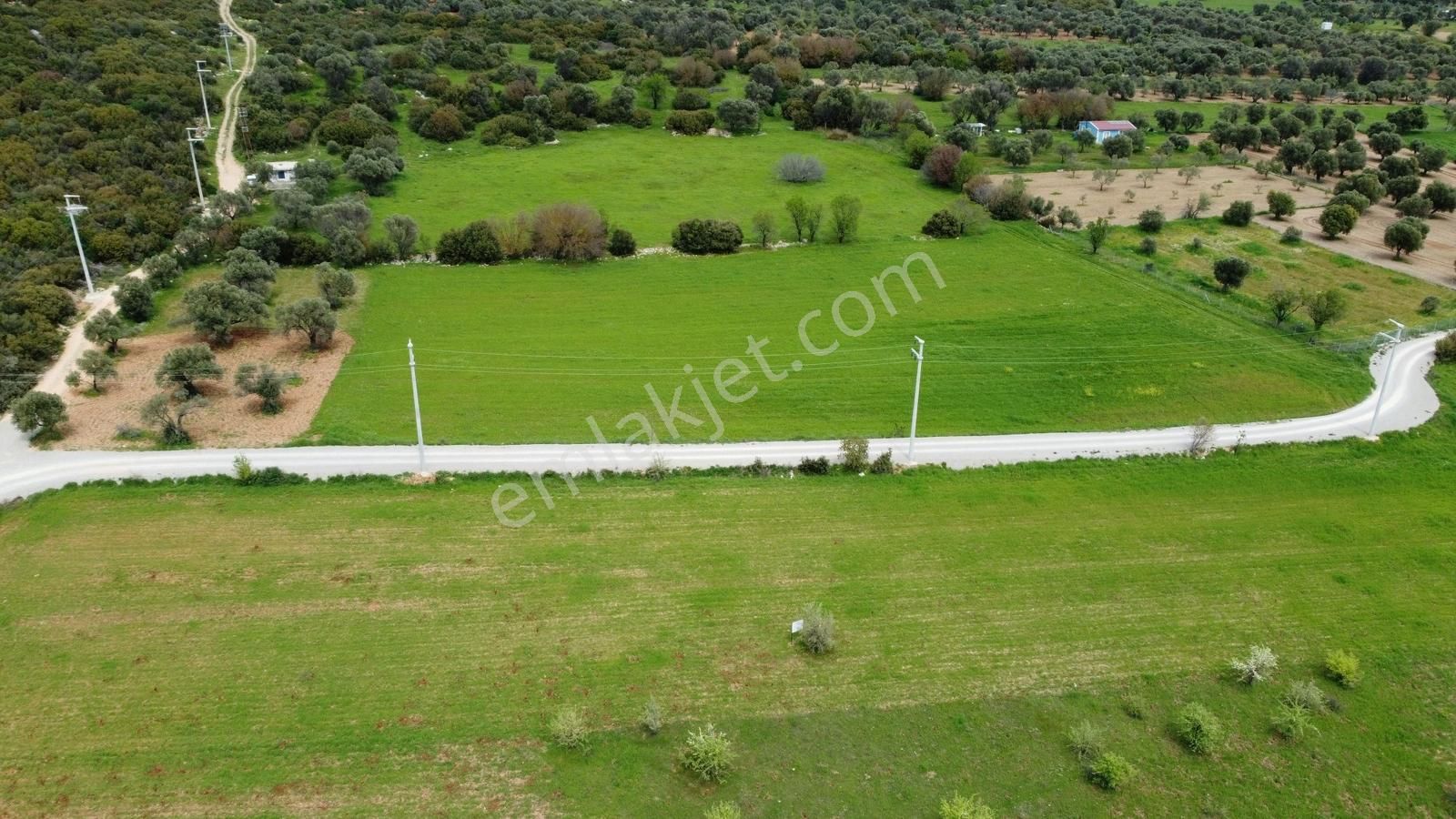 Urla Barbaros'ta Orman Sınırında, Yatırıma Uygun, Zeytinli Tarla - Görsel 11