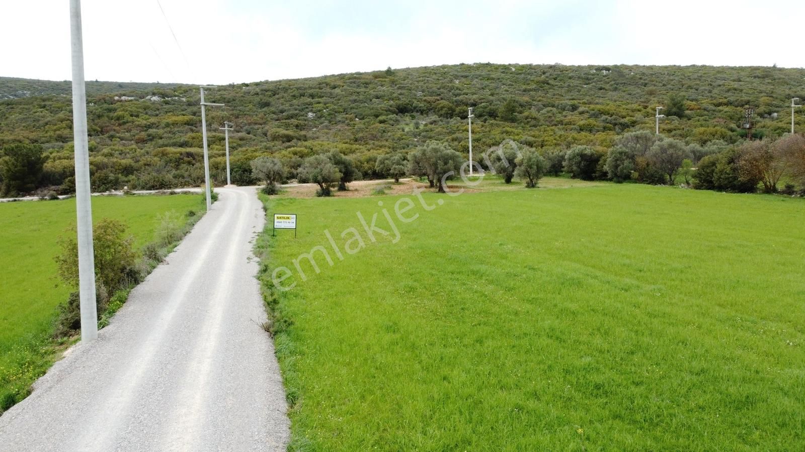 Urla Barbaros'ta Orman Sınırında, Yatırıma Uygun, Zeytinli Tarla - Görsel 12