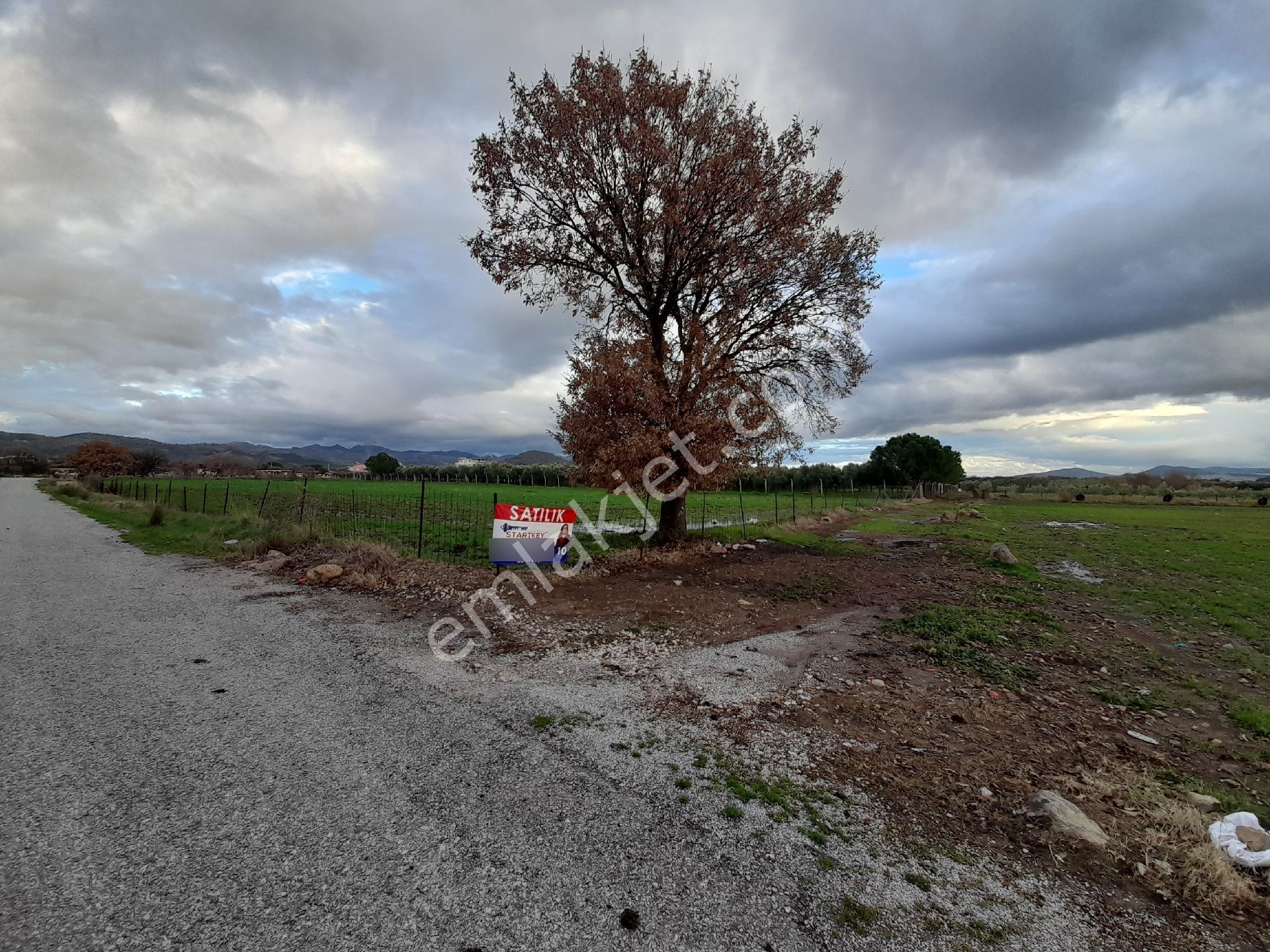 Dikili Salihler Mahallesi 5 Dönüm Satılık Tarla - Görsel 2
