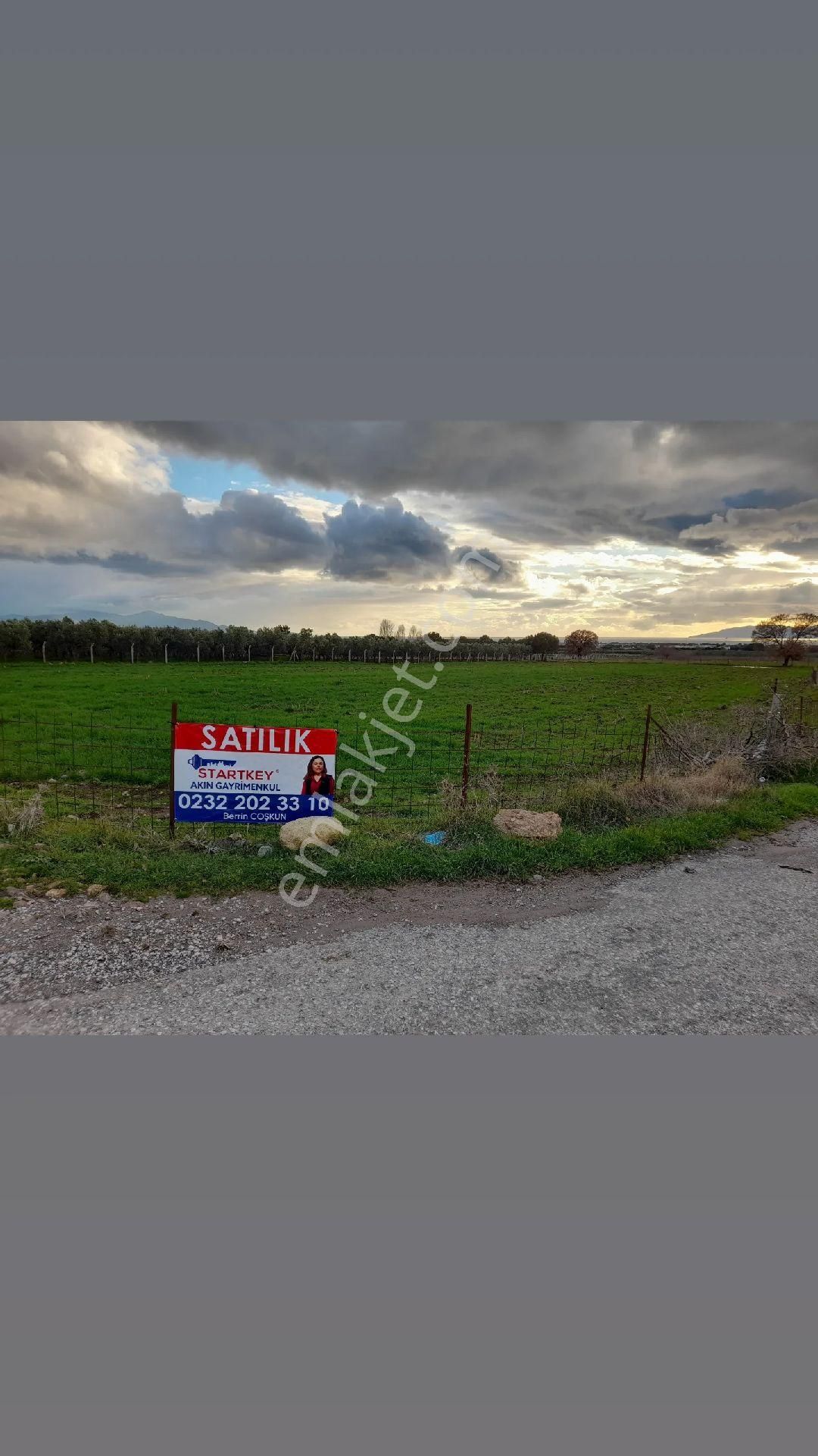 Dikili Salihler Mahallesi 5 Dönüm Satılık Tarla - Görsel 12