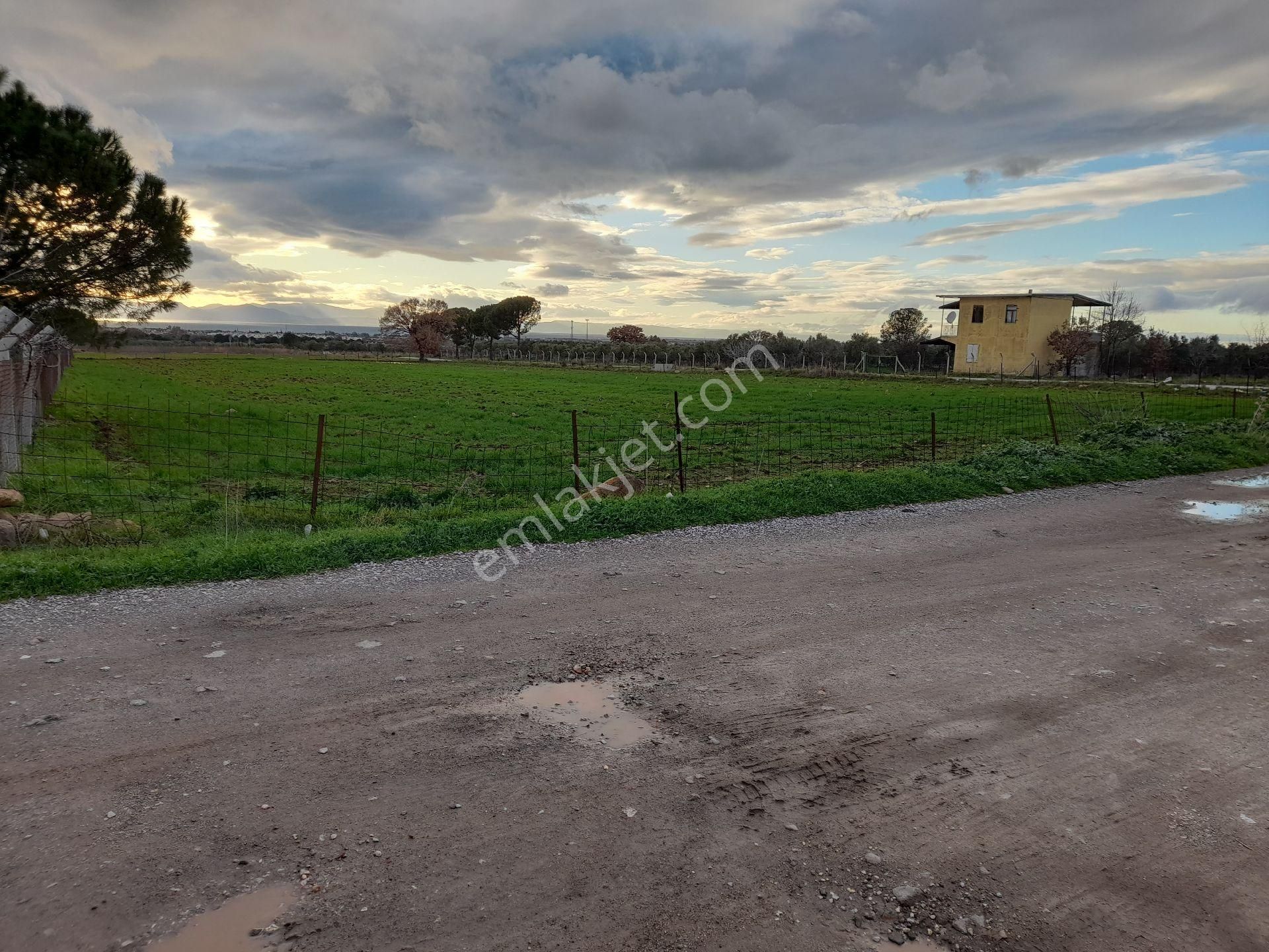 Dikili Salihler Mahallesi 5 Dönüm Satılık Tarla - Görsel 6