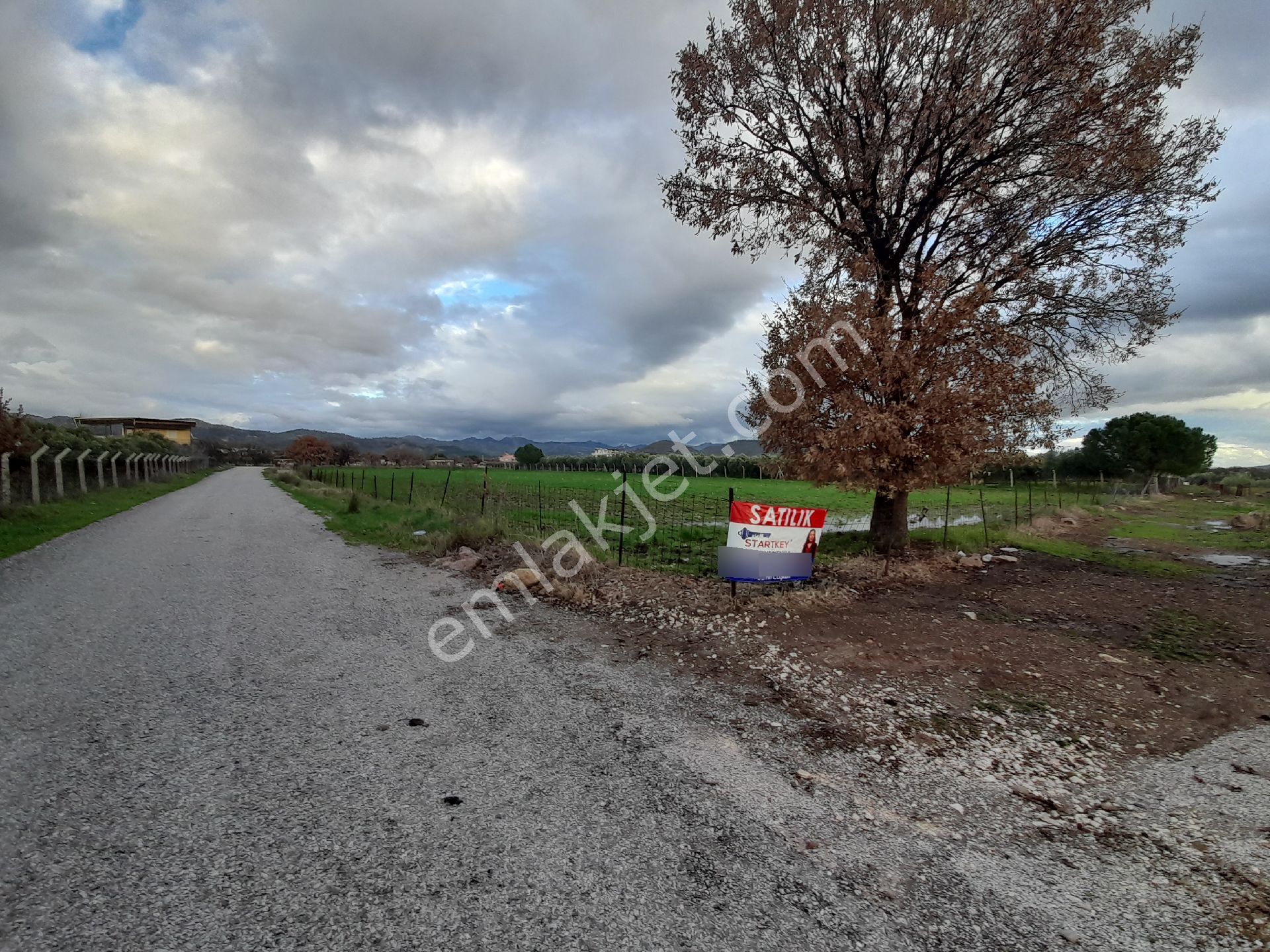 Dikili Salihler Mahallesi 5 Dönüm Satılık Tarla
