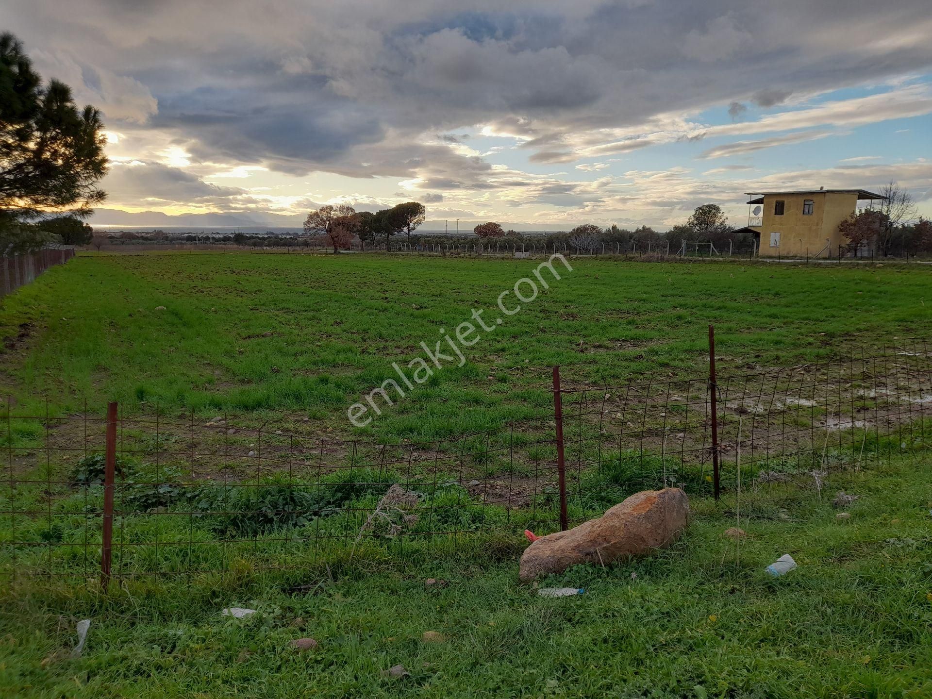 Dikili Salihler Mahallesi 5 Dönüm Satılık Tarla - Görsel 8