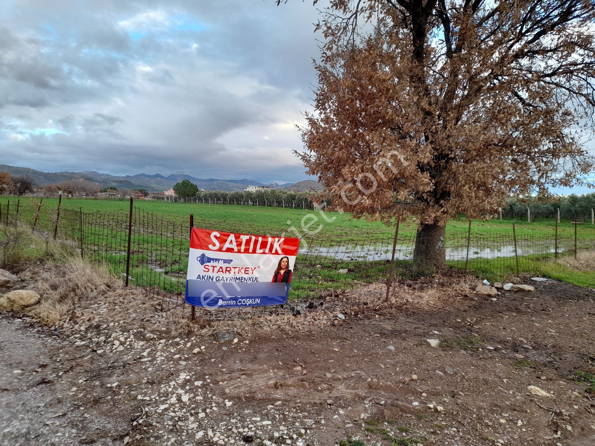 Dikili Salihler Mahallesi 5 Dönüm Satılık Tarla - Görsel 3