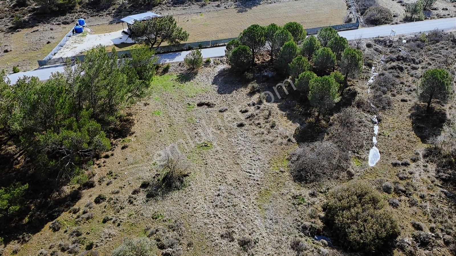 Urla Barbaros Köyünde Ormanın İçinde, Resmi Yol Cepheli Arazi - Görsel 5