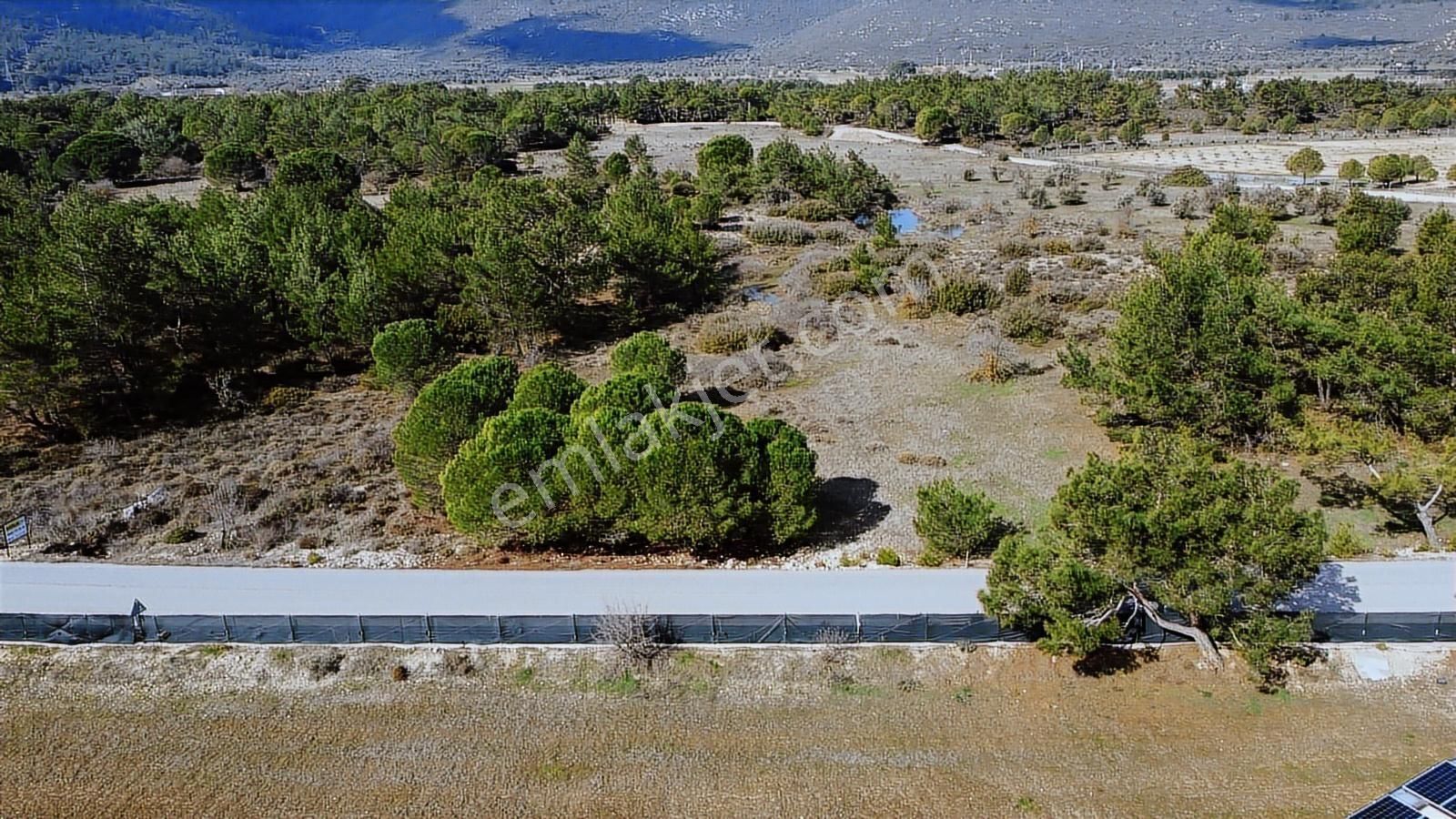 Urla Barbaros Köyünde Ormanın İçinde, Resmi Yol Cepheli Arazi