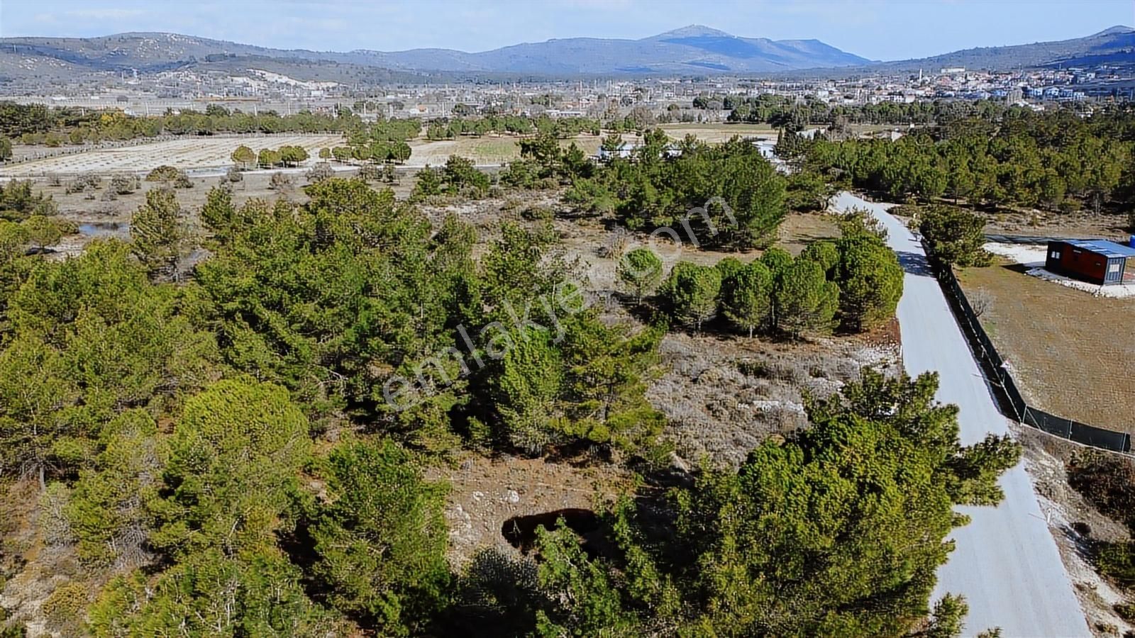 Urla Barbaros Köyünde Ormanın İçinde, Resmi Yol Cepheli Arazi - Görsel 6