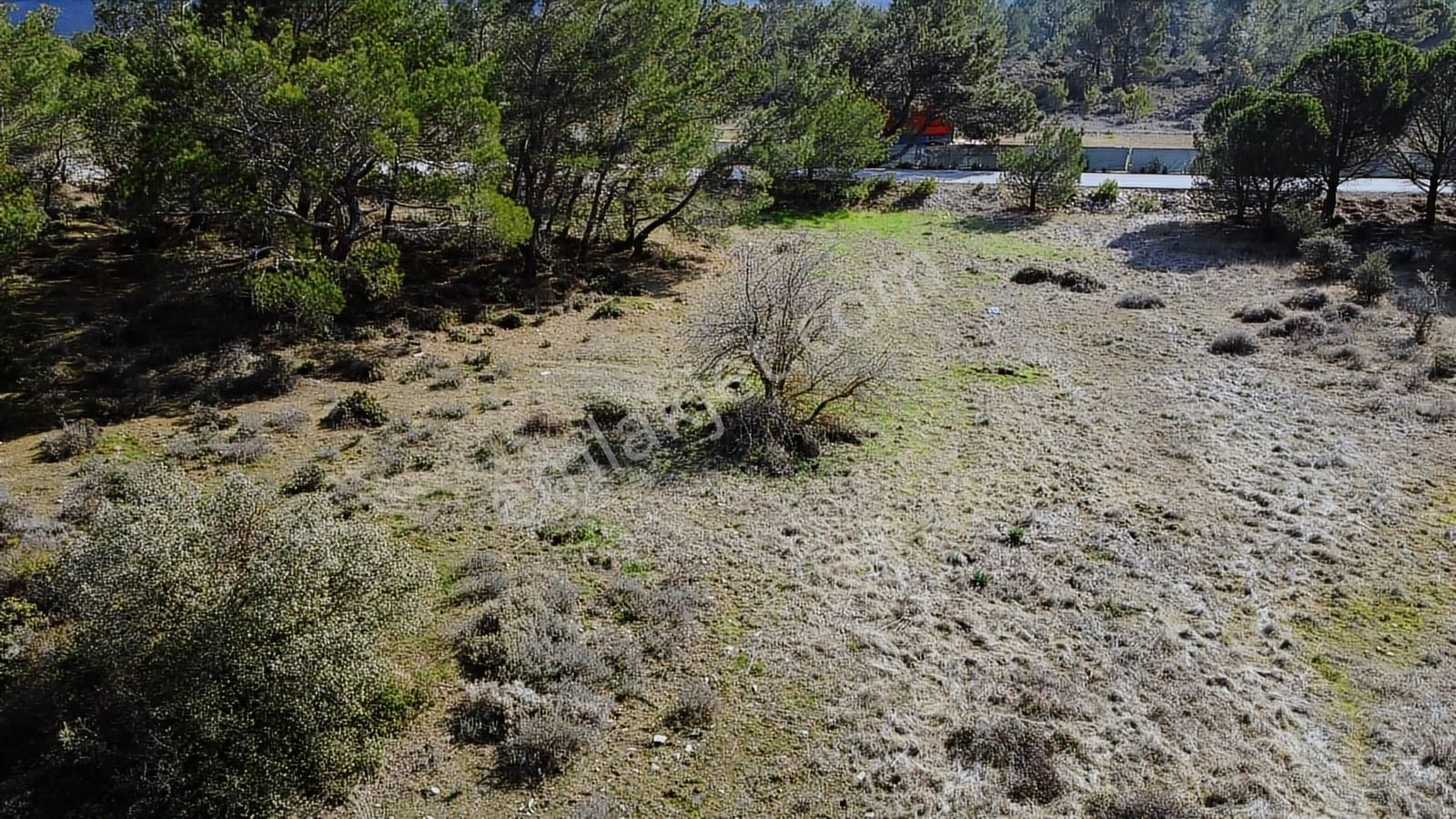 Urla Barbaros Köyünde Ormanın İçinde, Resmi Yol Cepheli Arazi - Görsel 8