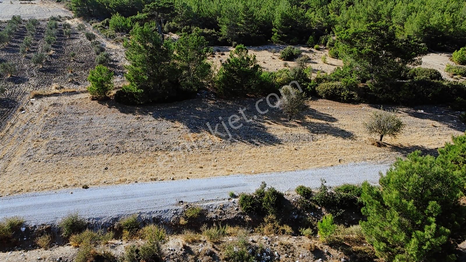 Urla Kadıovacık Doğanın İçinde, Resmi Yol Cepheli, Verimli Arazi - Görsel 2