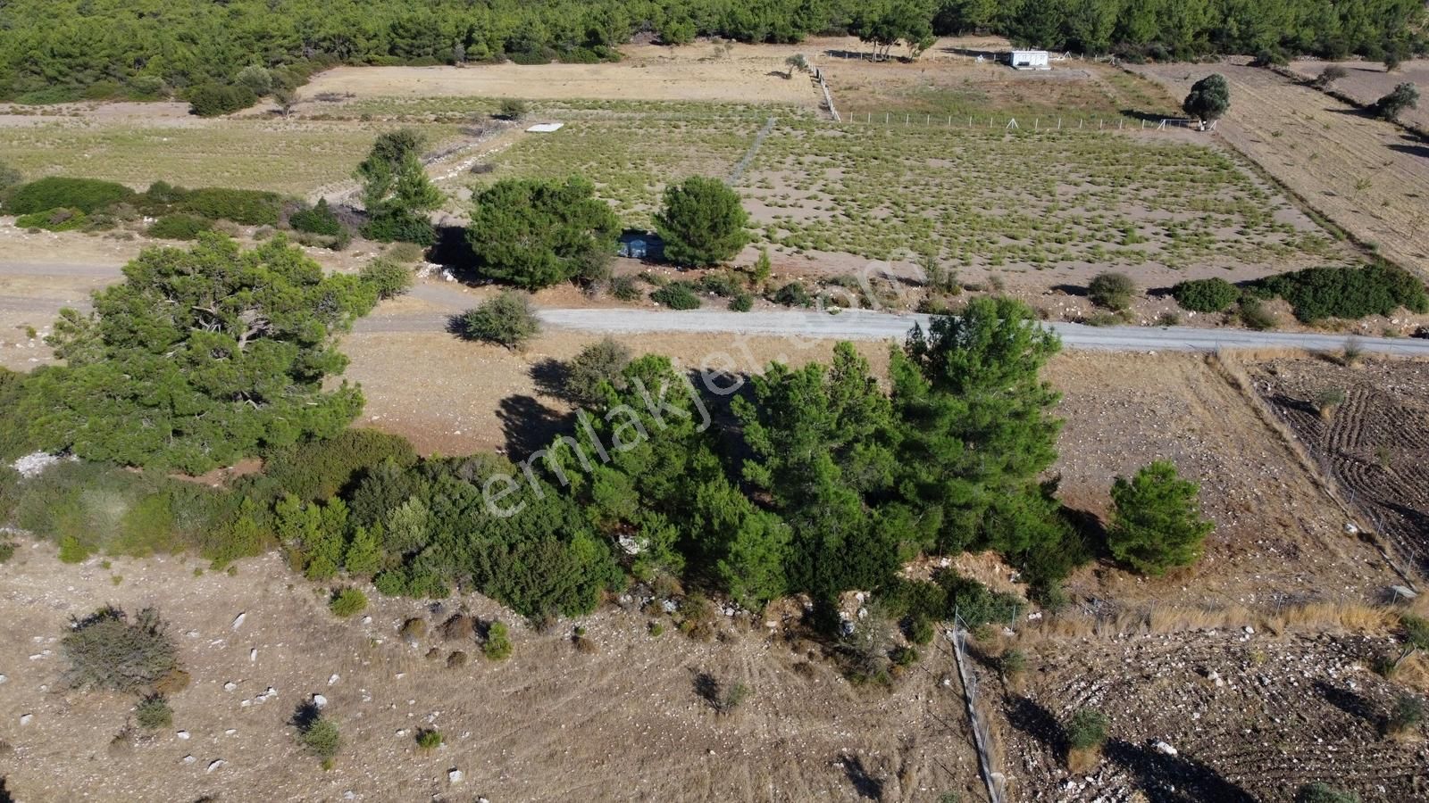 Urla Kadıovacık Doğanın İçinde, Resmi Yol Cepheli, Verimli Arazi - Görsel 15