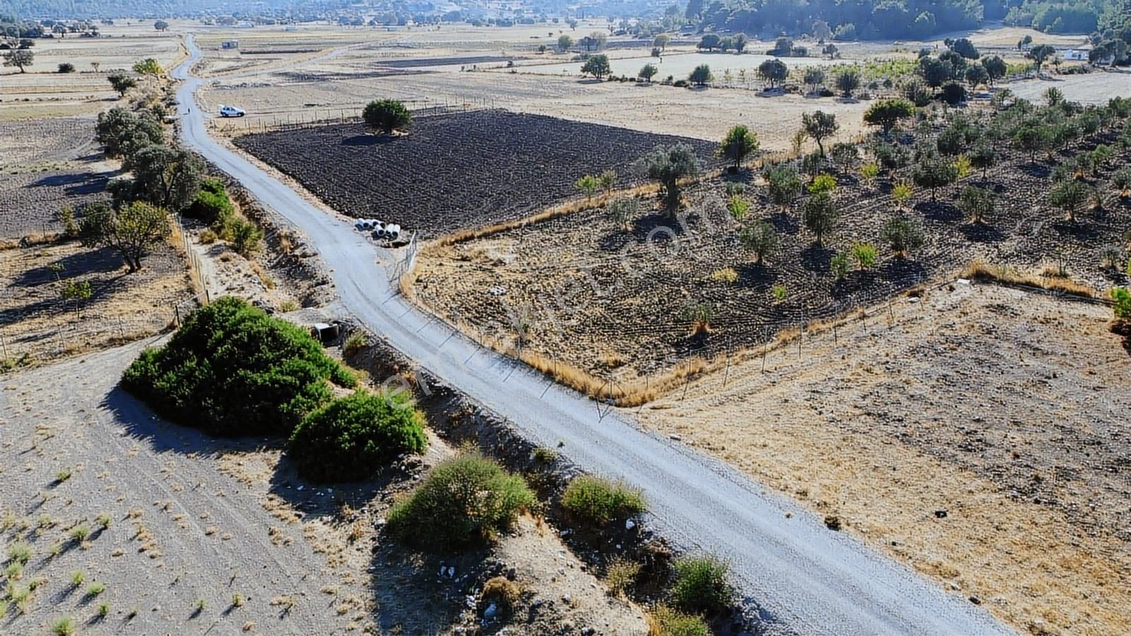 Urla Kadıovacık Doğanın İçinde, Resmi Yol Cepheli, Verimli Arazi - Görsel 5