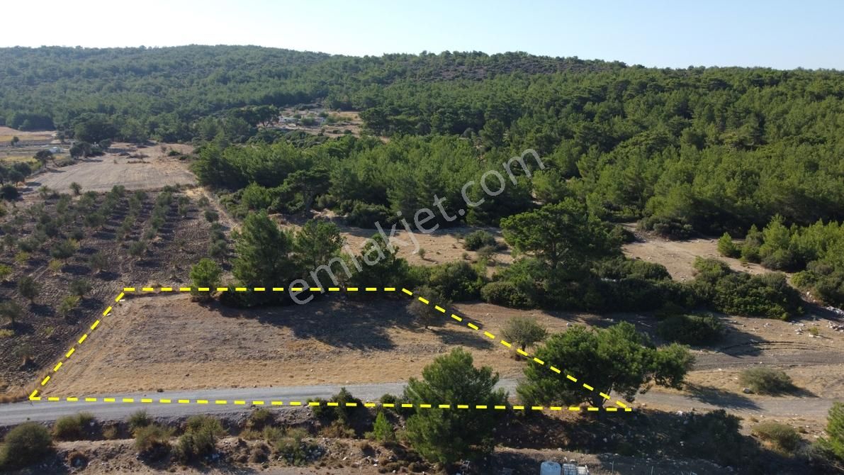 Urla Kadıovacık Doğanın İçinde, Resmi Yol Cepheli, Verimli Arazi - Görsel 14