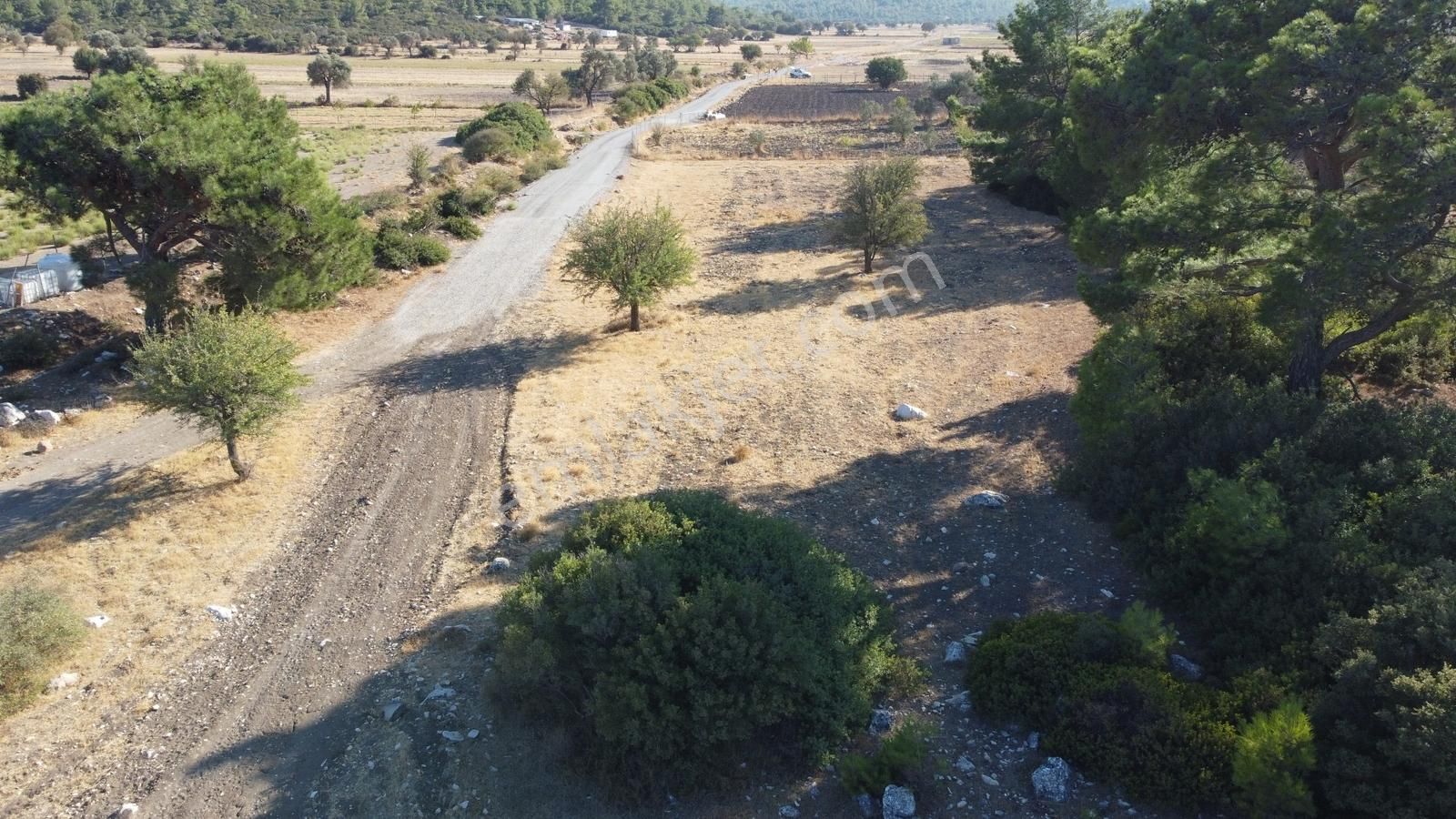 Urla Kadıovacık Doğanın İçinde, Resmi Yol Cepheli, Verimli Arazi - Görsel 12
