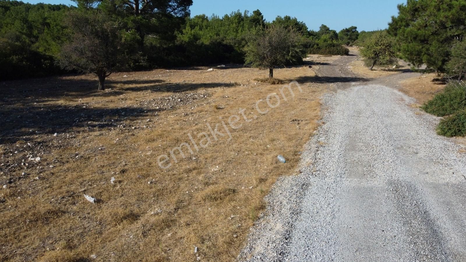 Urla Kadıovacık Doğanın İçinde, Resmi Yol Cepheli, Verimli Arazi - Görsel 3