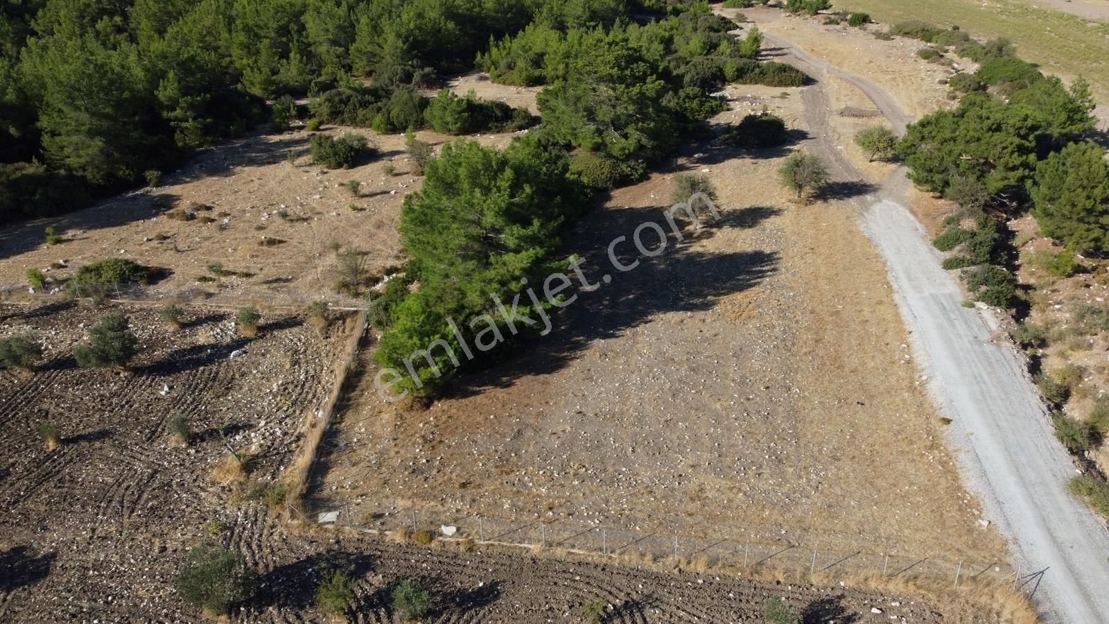Urla Kadıovacık Doğanın İçinde, Resmi Yol Cepheli, Verimli Arazi - Görsel 6