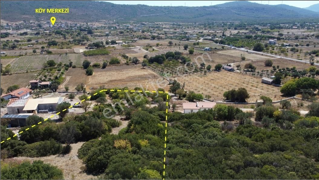 Urla Barbaros Köyünde Manzaralı Tarla